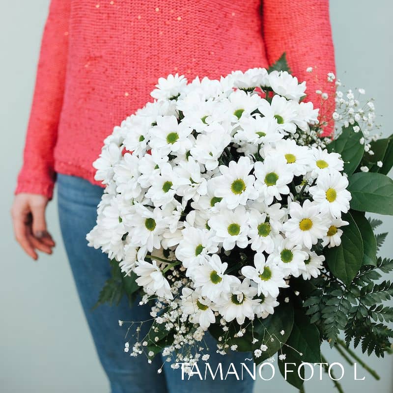 Ramo de margaritas