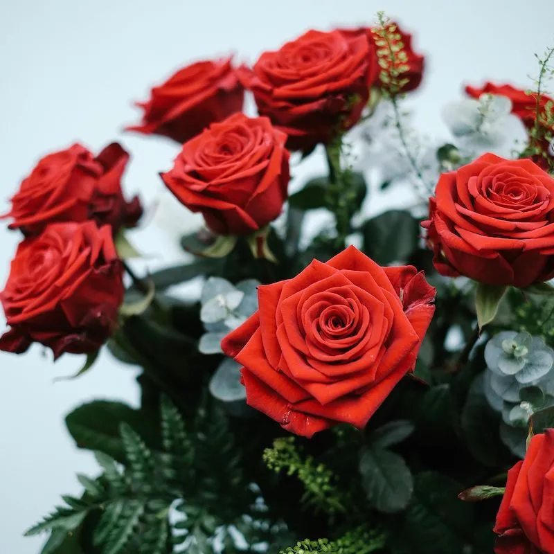Ramo De 12 Rosas Rojas Cortas