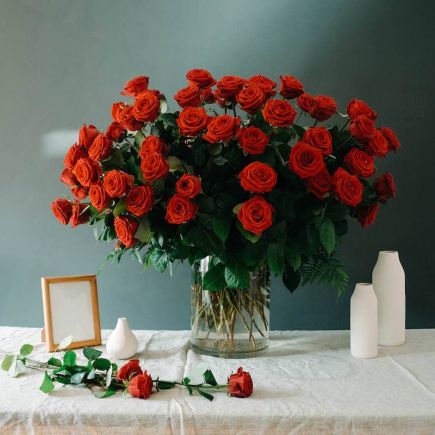 Ramo 100 rosas rojas