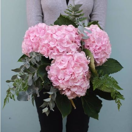 Ramo de hortensias rosa