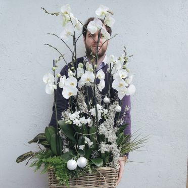 Centro de orquideas navideño