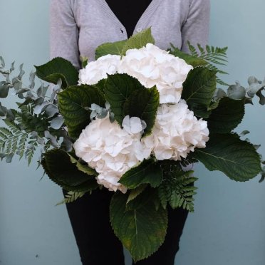 Ramo de hortensias blancas