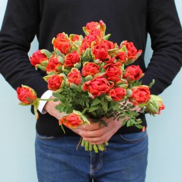 Ramo de Tulipanes papagayo rojos