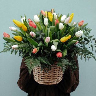 centro de tulipanes