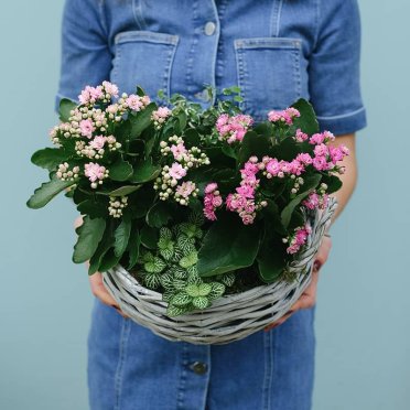 Pastel Kalandiva Basket