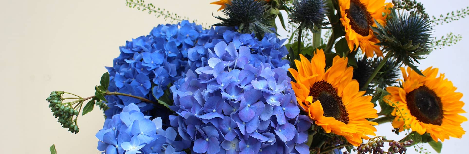 Hortensias, girasoles, rosas