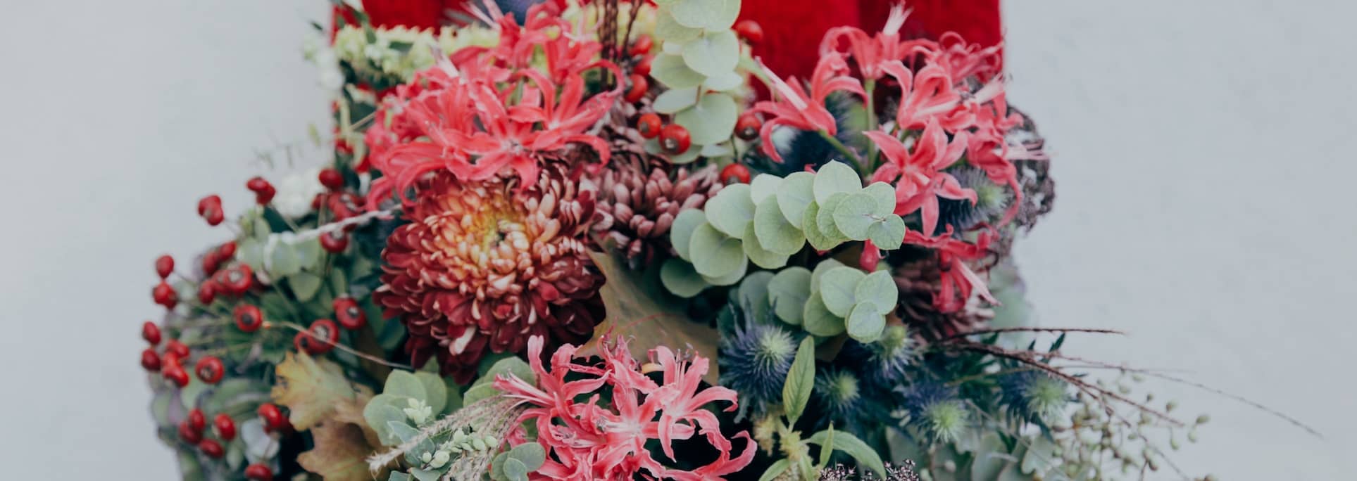 Hydrangeas, sunflowers and more