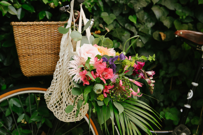 Las flores más resistentes para decorar tu hogar en verano