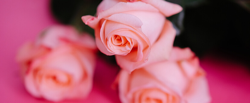 Significado del color de las rosas | Blog Bourguignon