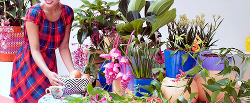 Ideas para decorar con plantas tropicales este verano