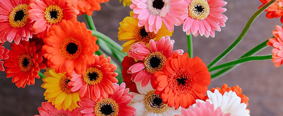 5 ideas para decorar tu fiesta fin de verano con flores 