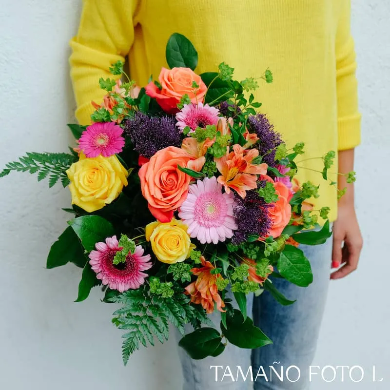Ramo ilusion