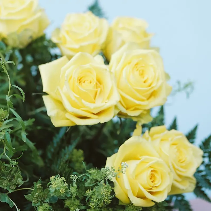 Ramo de Rosas Amarillas | Floristería Bourguignon