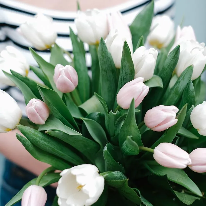 Ramo de Tulipanes Rosas y Blancos