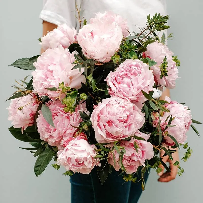 Ramo de Peonías Rosas | Floristería Bourguignon