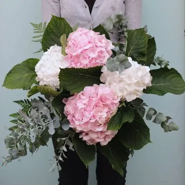 Ramo de hortensias blancas y rosas