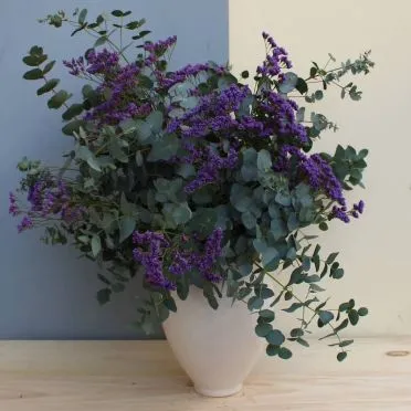 Ramo de limonium para secar