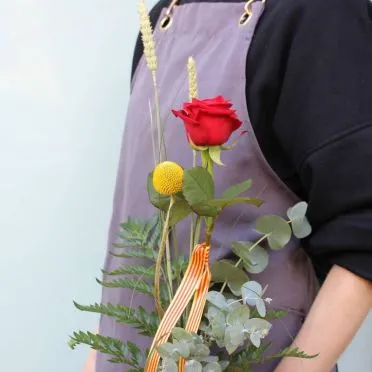 Rosa de Sant Jordi