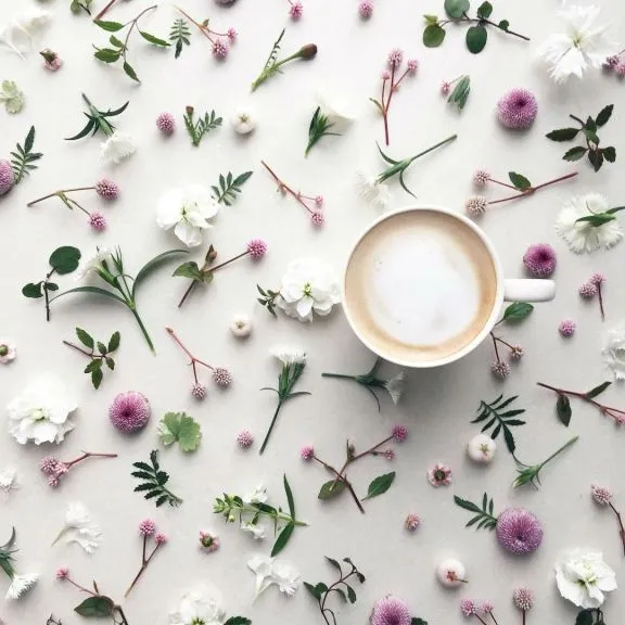 flores y cafe