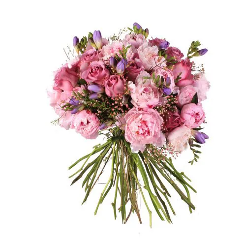 ramo de novia con rosas y freesia moradas y peonias rosa 