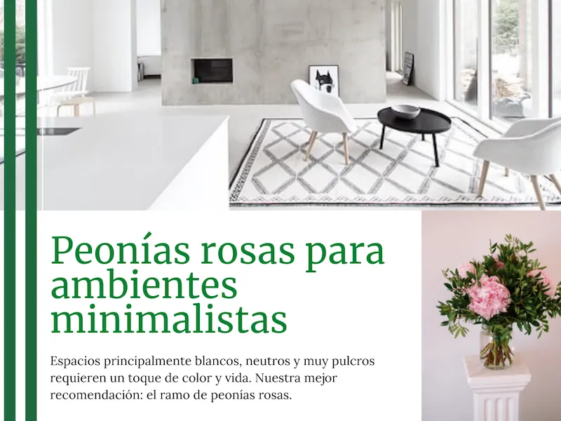 peonias rosas para ambietes minimalistas