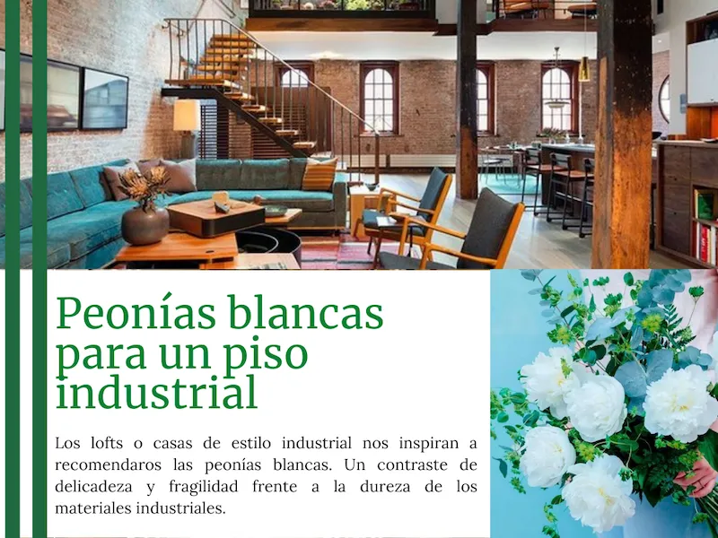 peonias blancas para un piso industrial