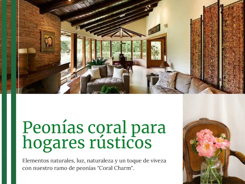 peonias coral para hogares rusticos