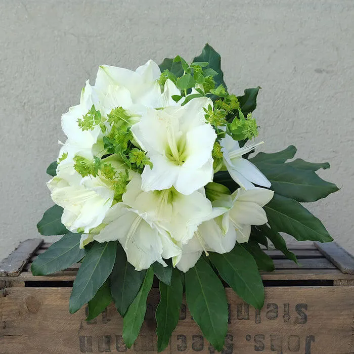 un ramo de flores de amaryllis blanco con blupernum encima de una caja de madera