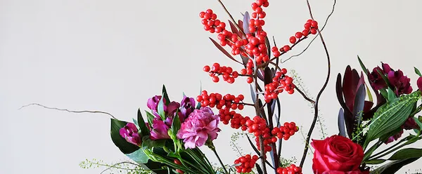 flores de astromleia morada y ilex rojo en una composicion de navidad