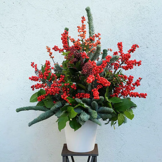 centro de flores de navidad con bayas de ilex y skimmia roja