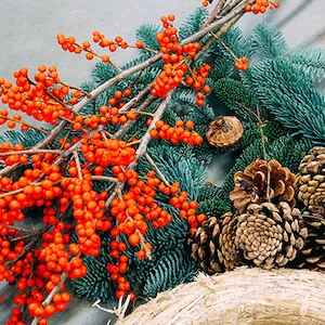 ilex rojo encima de una corona tradicional de pino