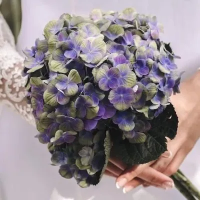 ramo de novia con unas hortensias de color morado