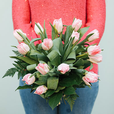 tulipanes rosas pastel