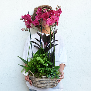 mujer con una cesta de orquideas moradas con plantas