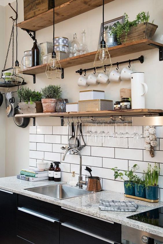 decoracion de una cocina con plantas de especies