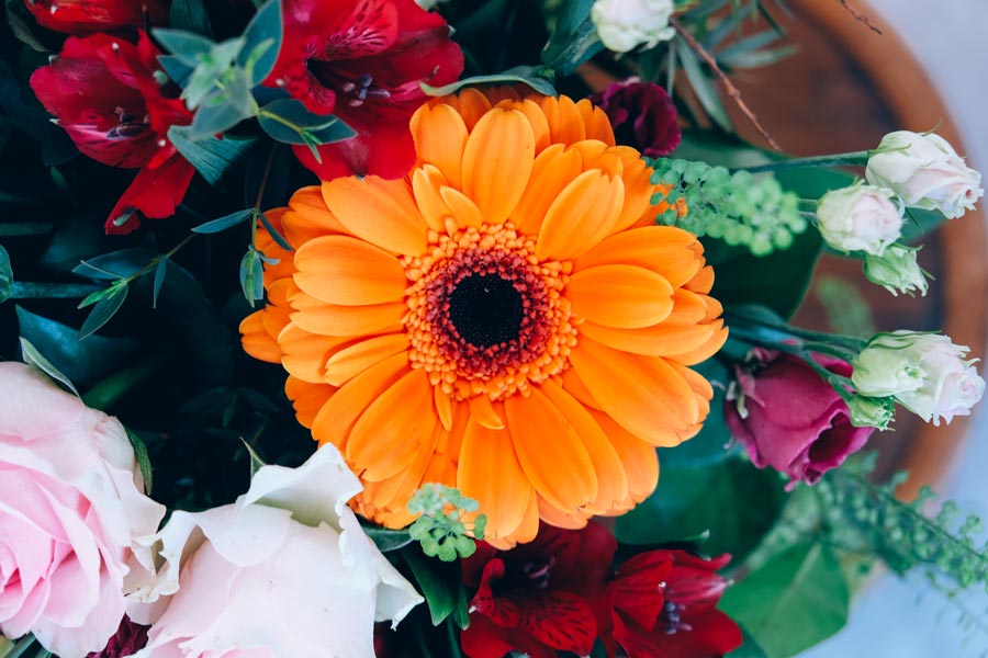 detalle de una gerbera naranha y astromelias rojas