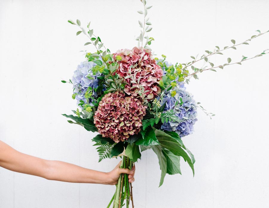 ramo de hortensias rojas y azul envejecido con ramas de cotoneaster