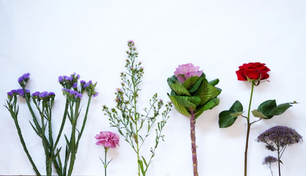 flores ramos blooms