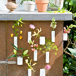 tallos de varias variedades de flor en un jarron blanco en una pared