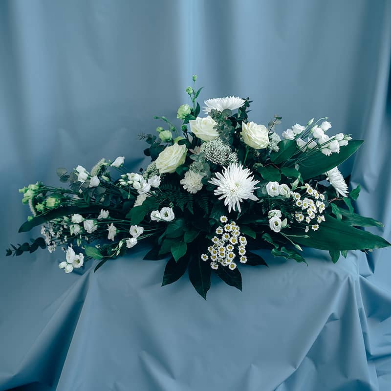 centro blanco todos los santos