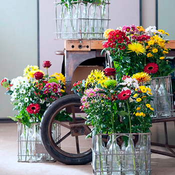 un rincon de una floristeria con crisantemos de colores amarillos y rojos