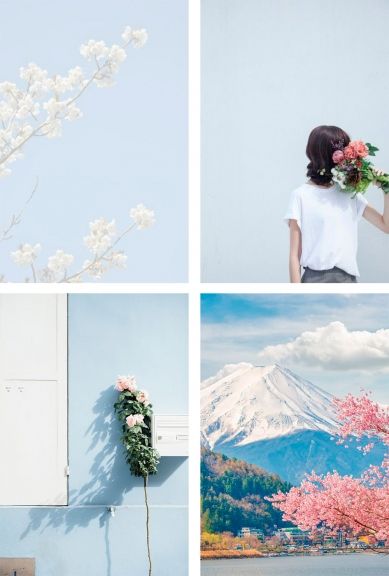 sneak peek abril blanco