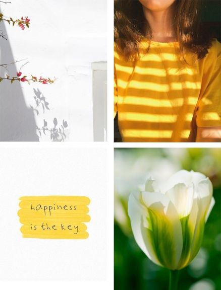 sneak peak abril amarillo