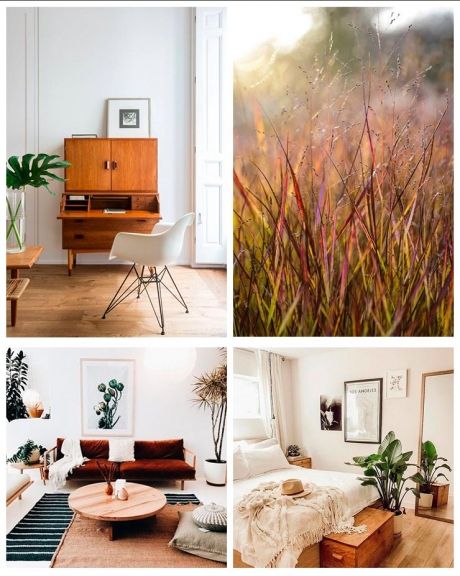 sneak peek de blooms para enero