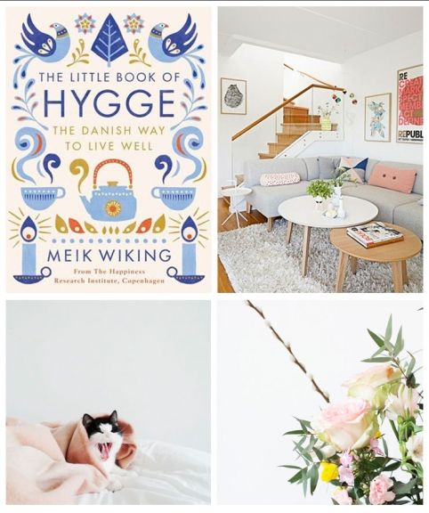 mood board blooms enero