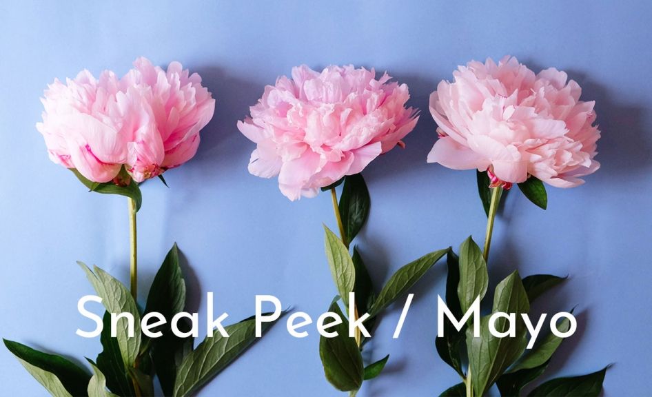 sneak peek mayo