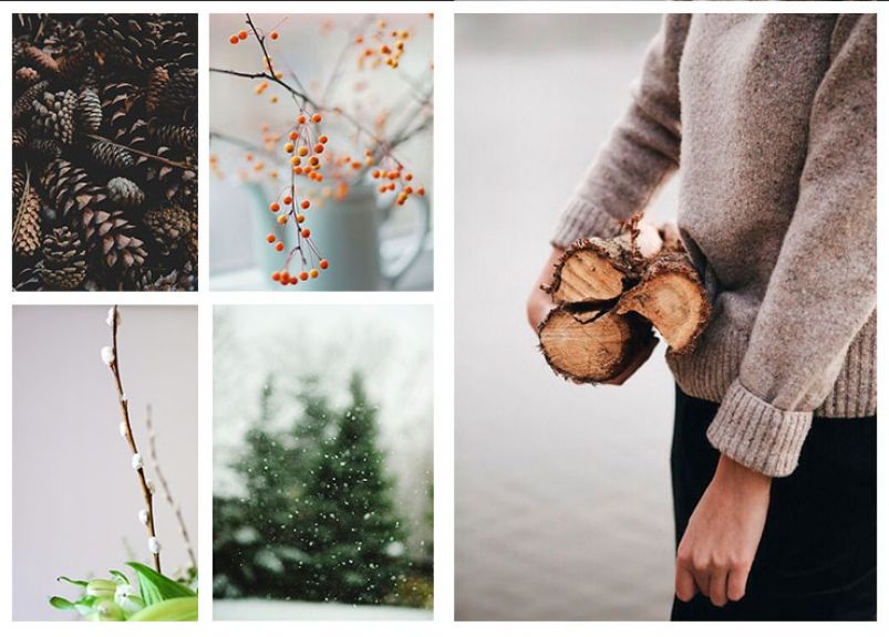 mood board diciembre blooms