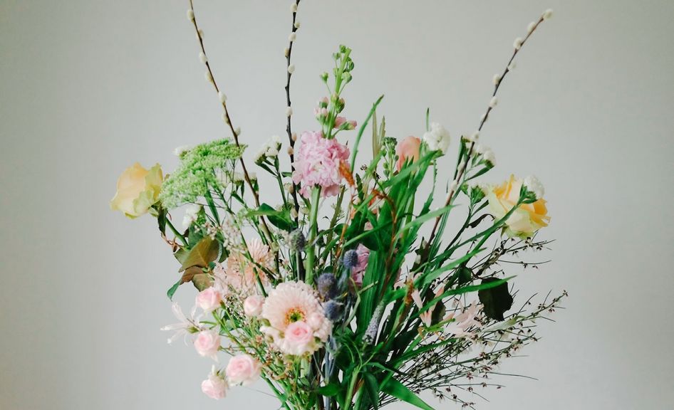 weekly blooms 11