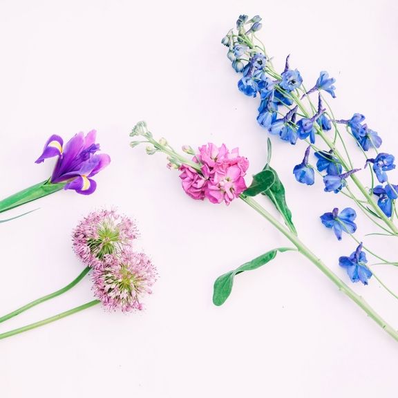weekly blooms 12 flores