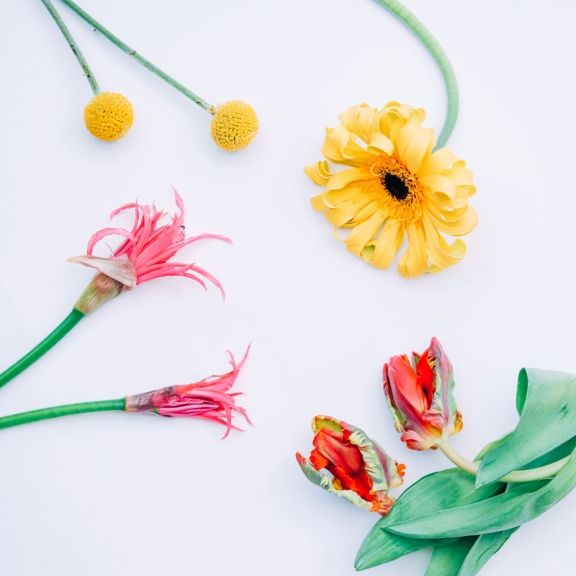 weekly blooms 13 flores